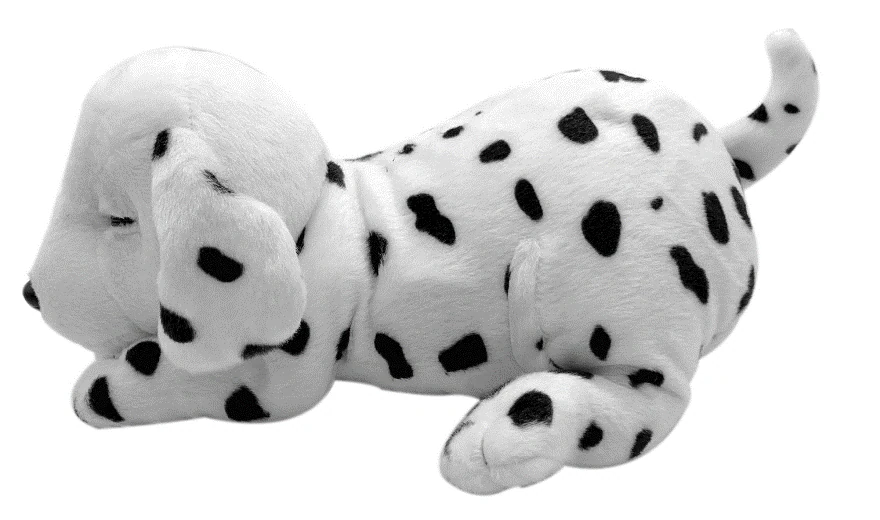 Snoring spotted puppy