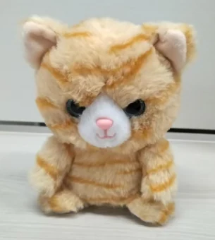 Talking tabby cat