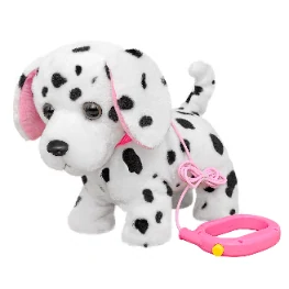 Walking Dalmatian with fixed leash