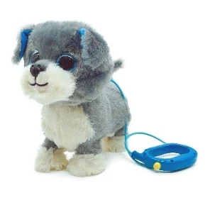 Walking blue puppy with fixed leash