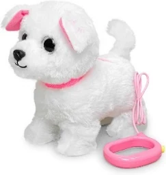 Walking white puppy with fixed leash
