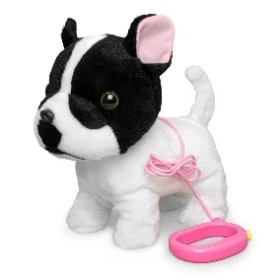 Walking bulldog with fixed leash