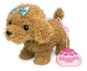 Sitting brown puppy with removable leash