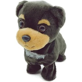 Walking black puppy
