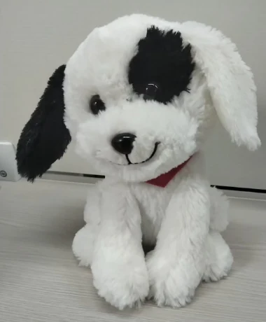 Rocking spotted puppy