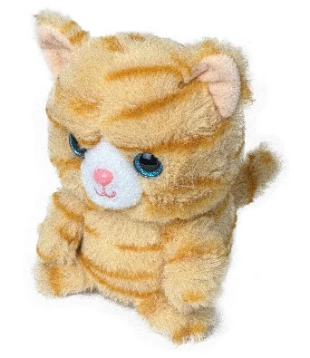 Rocking and talking tabby cat