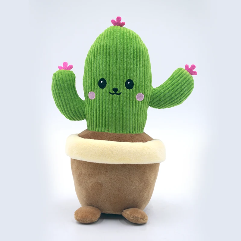 Potted plush — flowering cactus